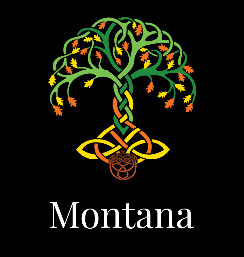 An Daire Academy | Montana Irish Dance School Location